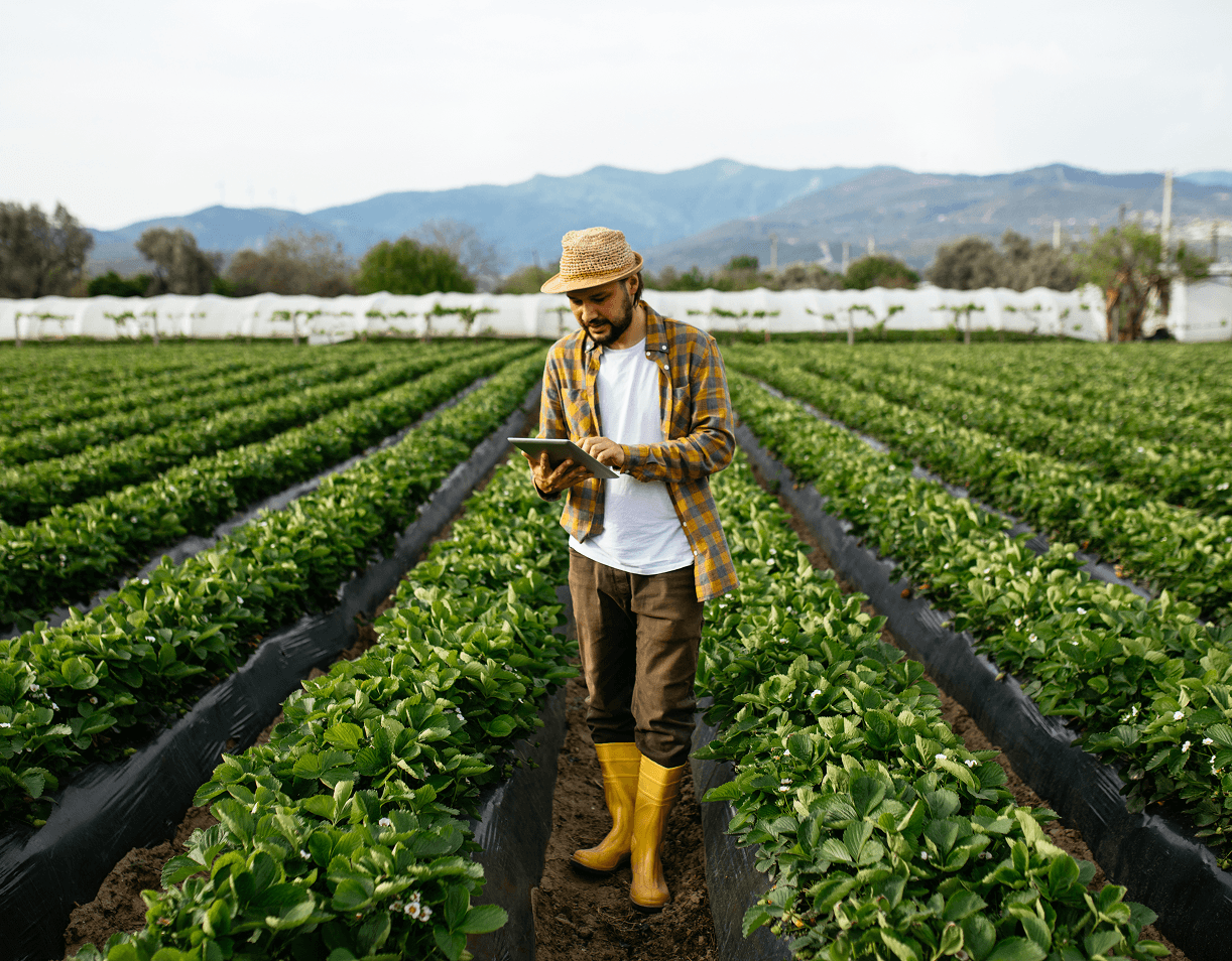 Farmer using tablet in green field