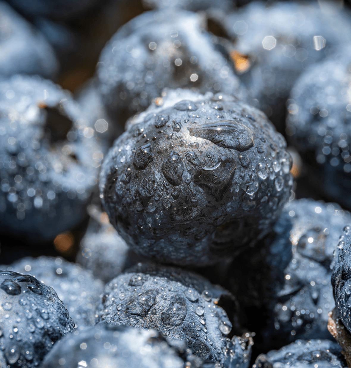 Fresh blueberries with water droplets