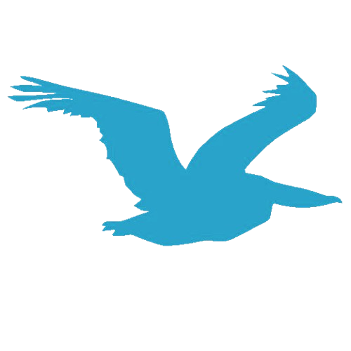 pelican-blue