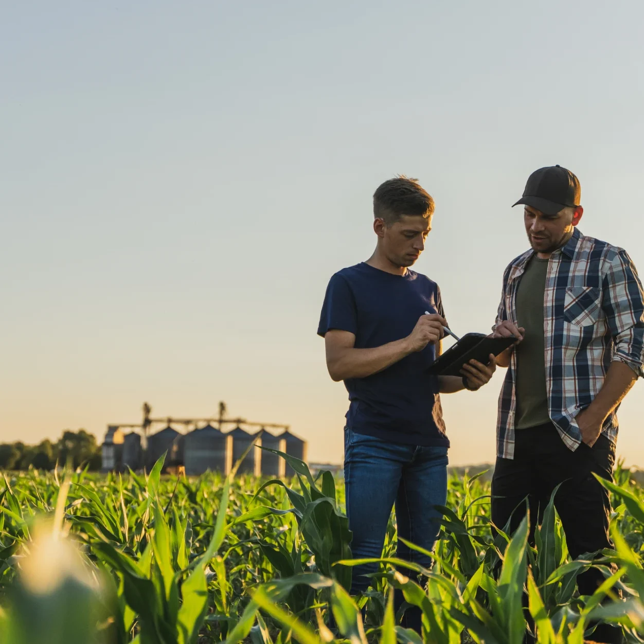 Farmers using tablet in field
